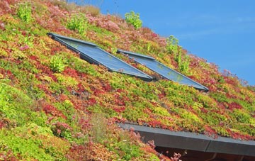 Bedham living roof systems